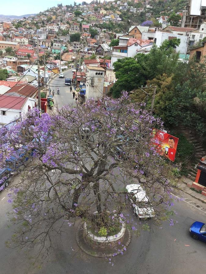 A l'hotel Antananarivo Kültér fotó